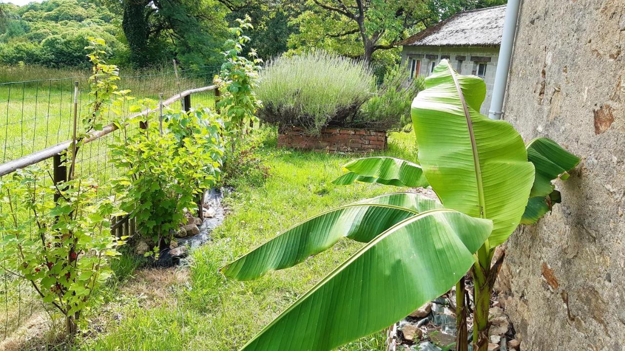 Appartement Charmant Orgnac-Sur-Vezere Avec Jardin Et Parking Eksteriør bilde